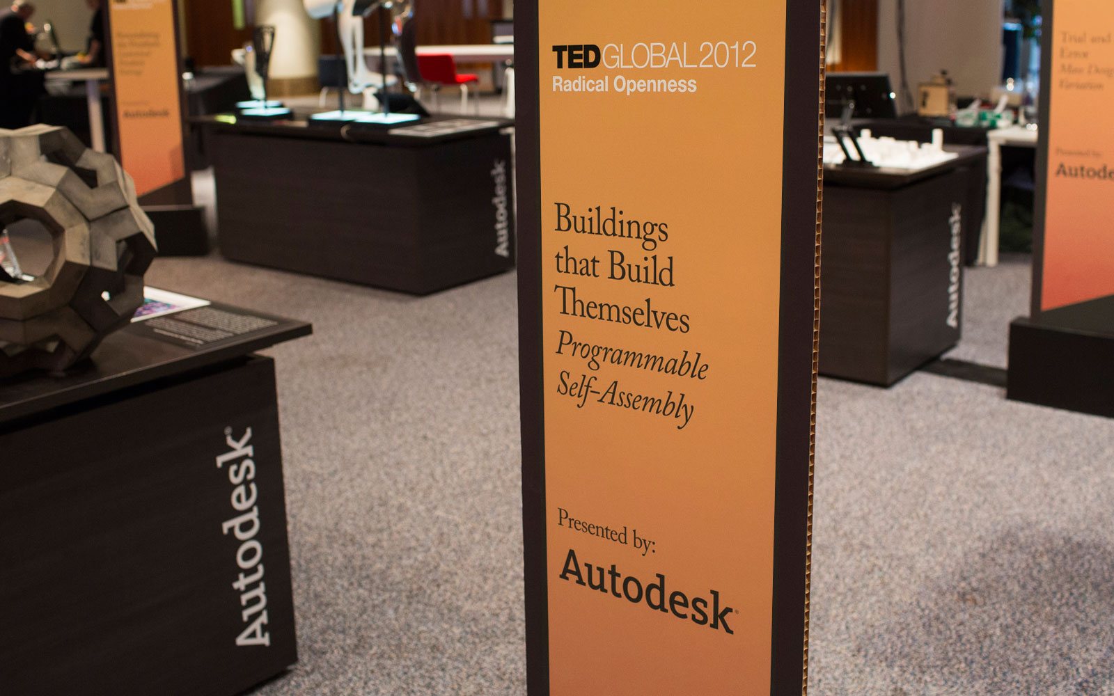 TEDGLOBAL201211